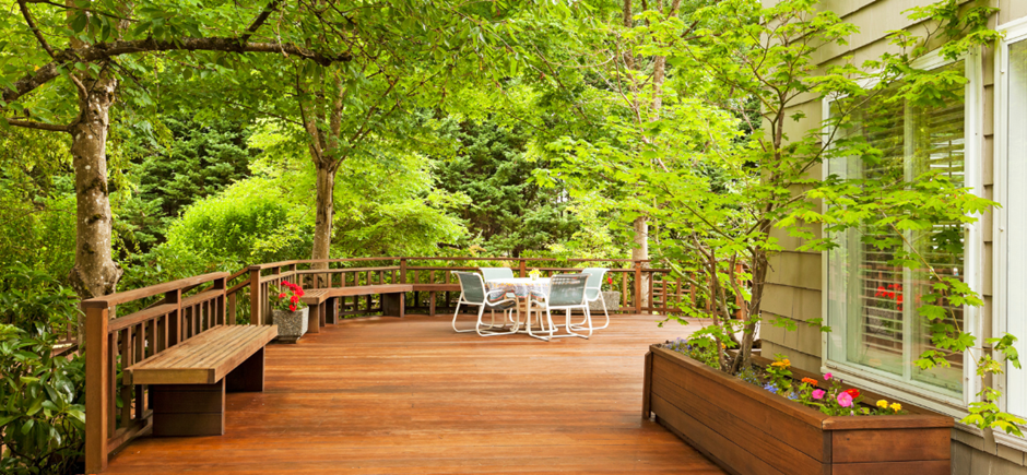 "Eco-friendly plywood guide: Compare prices, benefits, and uses for green homes, interiors, and offices. Get sustainable plywood options from Plyneer."