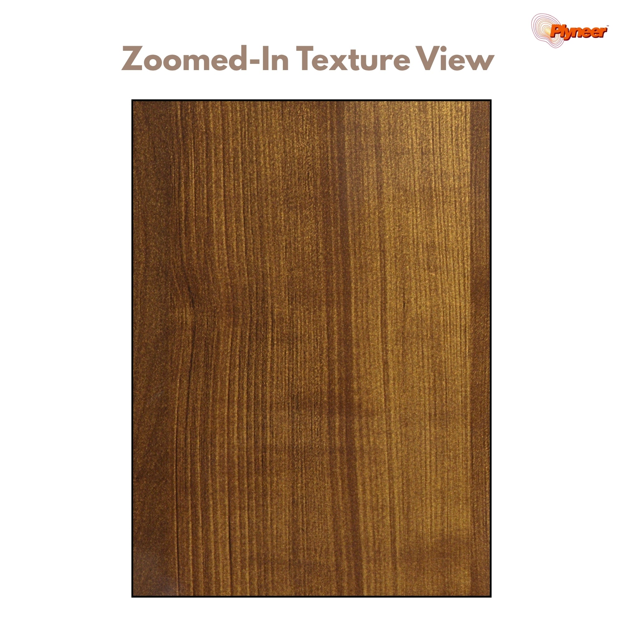Plyneer Wood Laminate 2649 HG Pine Walnut – Premium Walnut & Pine Finish
