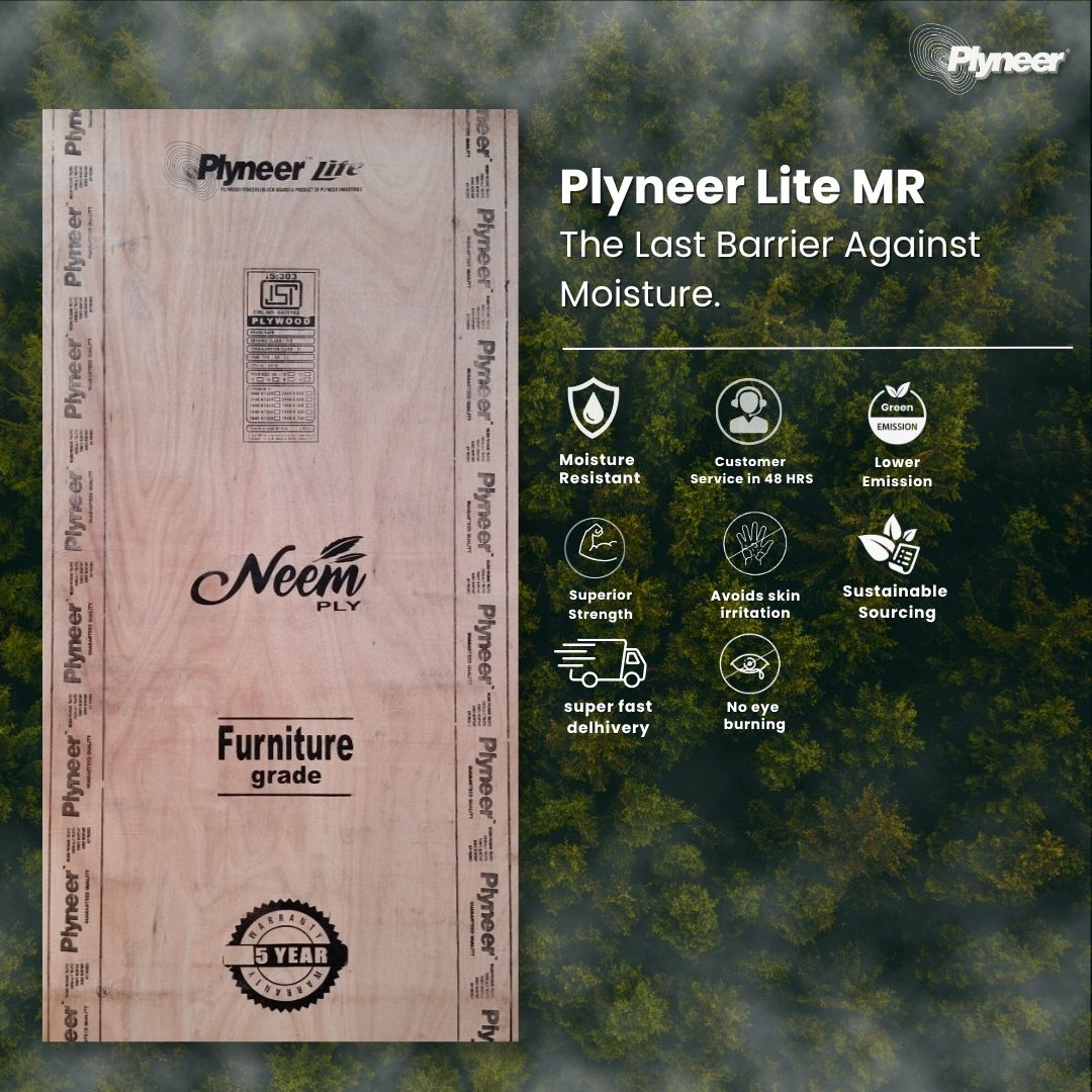 Plyneer LITE Plywood sofa and beds