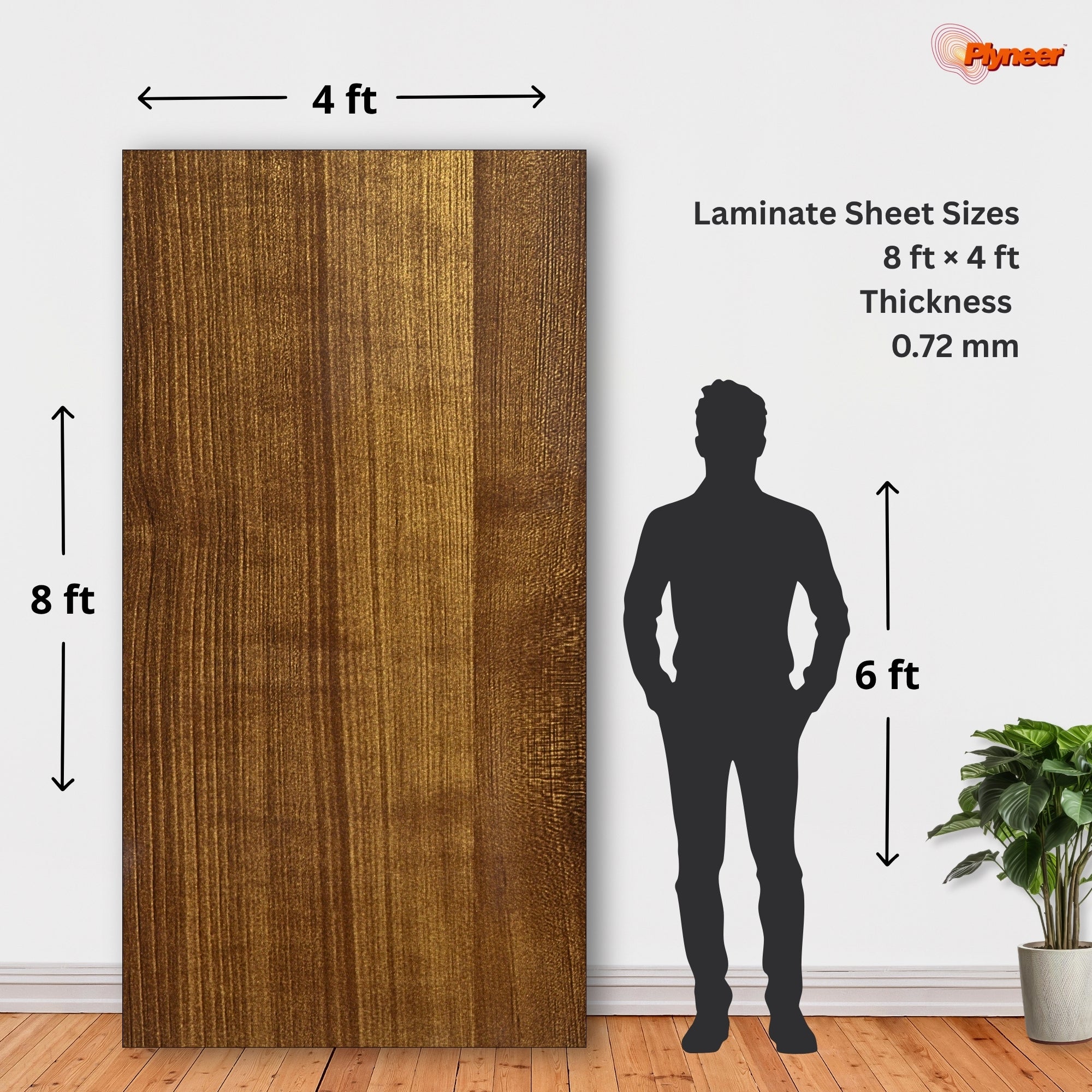 Plyneer Wood Laminate 2649 HG Pine Walnut – Premium Walnut & Pine Finish
