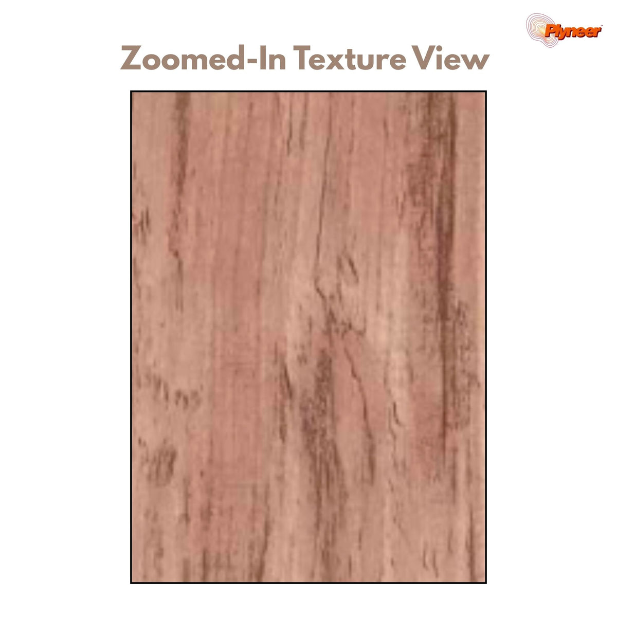 Plyneer Wood Laminate 5138 SF Elm Timber – Elegant Warm Brown Wood Grain Look